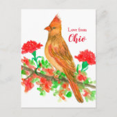 Vrouw kardinaal Bird Love uit Ohio Briefkaart (Voorkant)