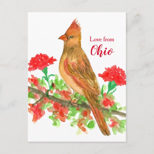 Vrouw kardinaal Bird Love uit Ohio Briefkaart (Voorkant)