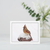 Vrouw kardinaal briefkaart (Staand voorkant)