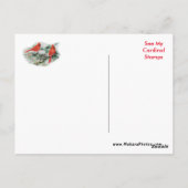 Vrouw Kardinaal Briefkaart- personaliseren naar we Briefkaart (Achterkant)