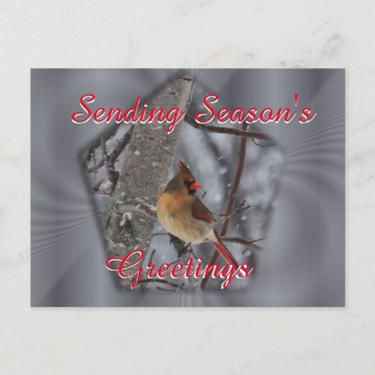 Vrouw Kardinaal Briefkaart- personaliseren naar we Briefkaart (Voorkant)