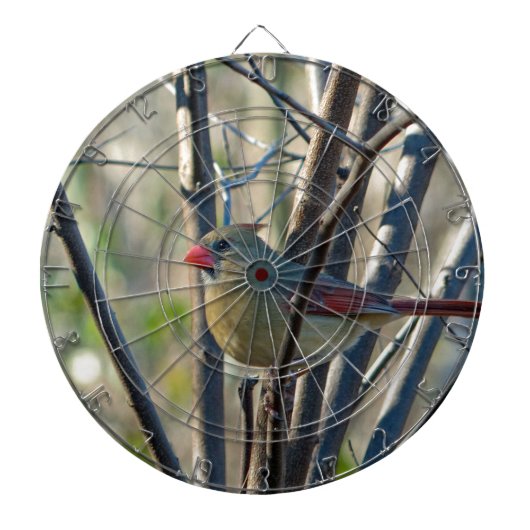 Vrouw kardinaal dartbord (Voorkant)