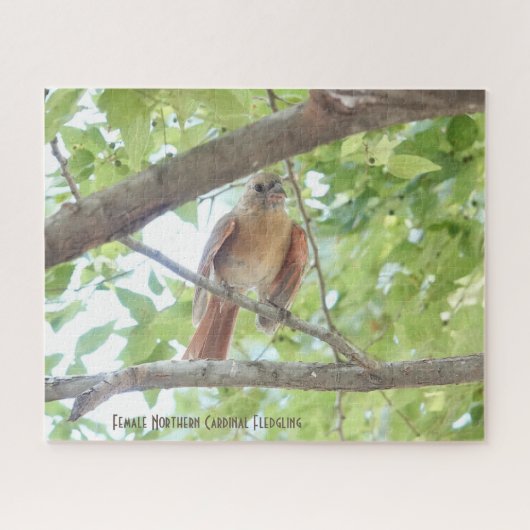 Vrouw Kardinaal Fledgling, vogelliefje Legpuzzel (Horizontaal)