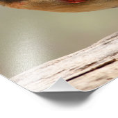 Vrouw kardinaal foto afdruk (Hoek)