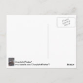 Vrouw Kardinaal Foto bij Feeder Briefkaarten (Achterkant)