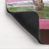 Vrouw Kardinaal in Birdbath Muismat (Hoek)