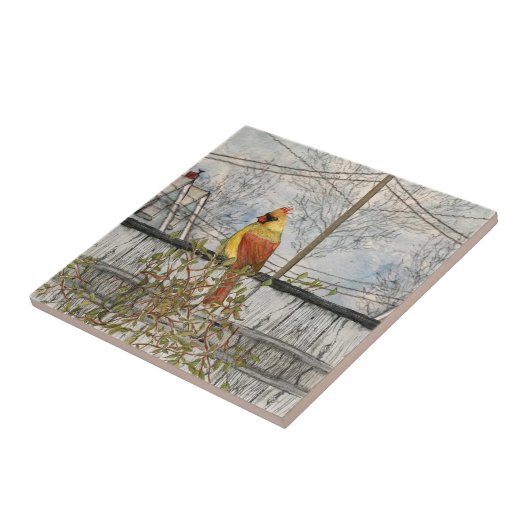 Vrouw kardinaal in de City Ceramic Tile Tegeltje (Zijkant)