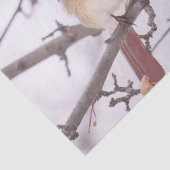 Vrouw kardinaal in de winter tissuepapier (Detail)