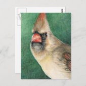 Vrouw Kardinaal KunstBriefkaart Briefkaart (Voorkant / Achterkant)