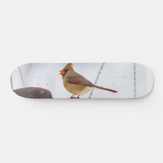 Vrouw Kardinaal Lunch Tijd Skateboard (Horizontaal)