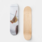 Vrouw Kardinaal Lunch Tijd Skateboard (Voorkant)