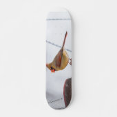 Vrouw Kardinaal Lunch Tijd Skateboard (Voorkant)