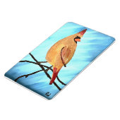 Vrouw kardinaal magneet (Linkerzijde)