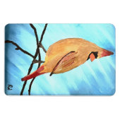 Vrouw kardinaal magneet (Horizontaal)