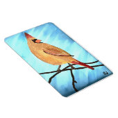 Vrouw kardinaal magneet (Rechterzijde)