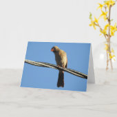 Vrouw Kardinaal op een drager, vogelfoto Kaart (Gele Bloem)