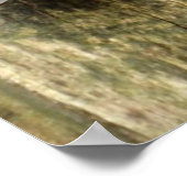 Vrouw Kardinaal op het Poster van de Omheining (Hoek)