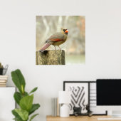 Vrouw Kardinaal op het Poster van de Omheining (Thuiskantoor)