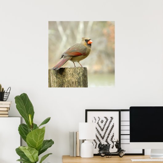 Vrouw Kardinaal op het Poster van de Omheining (Thuiskantoor)