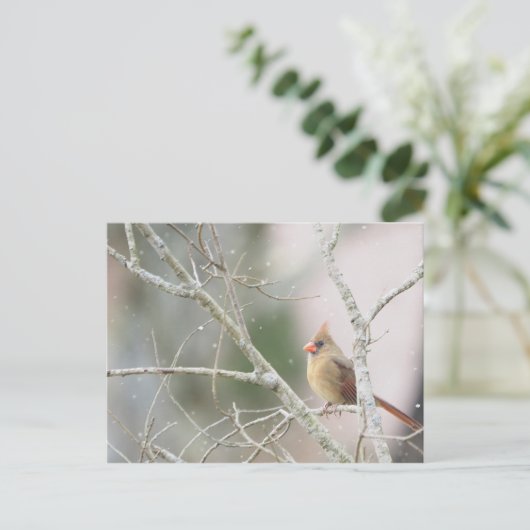 Vrouw Kardinaal op wintertakken Briefkaart (Staand voorkant)