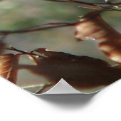 Vrouw kardinaal poster (Hoek)