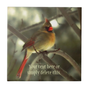 Vrouw kardinaal tegeltje