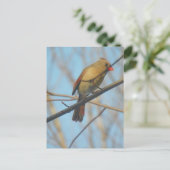 Vrouw kardinaal/vogel briefkaart (Staand voorkant)