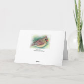 Vrouw kardinaal vogel in Pine Pastel Art Kerstmis Kaart (Achterkant)