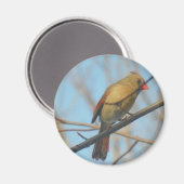 Vrouw kardinaal/vogel magneet (Voorkant / Achterkant)