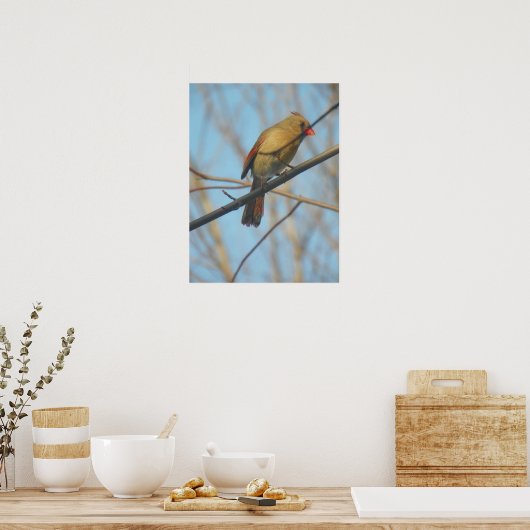Vrouw kardinaal/vogel poster (Keuken)