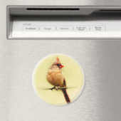 Vrouw Kardinaal zongvogel Magneet (Insitu (Vaatwasser))