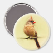 Vrouw Kardinaal zongvogel Magneet (Voorkant / Achterkant)