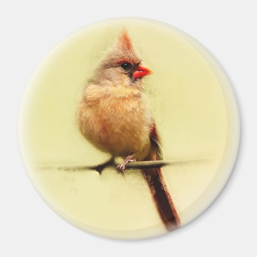 Vrouw Kardinaal zongvogel Magneet (Voorkant)