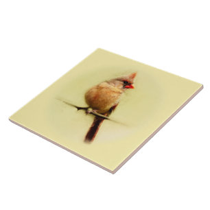 Vrouw Kardinaal zongvogel Tegeltje