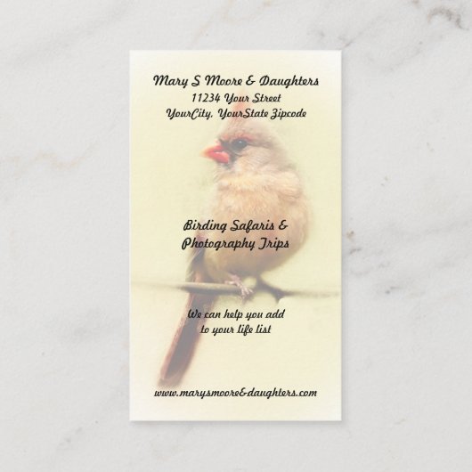 Vrouw Kardinaal zongvogel Visitekaartje (Achterkant)