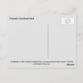 Vrouw kardinaalvogel briefkaart (Achterkant)
