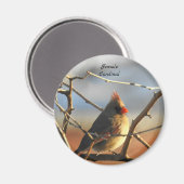 Vrouw kardinaalvogel magneet (Voorkant / Achterkant)