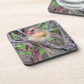 Vrouw kardinale lente bier onderzetter (Linkerzijde)