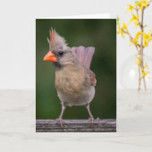 Vrouw kardinale notitie Kaart (Gele Bloem)