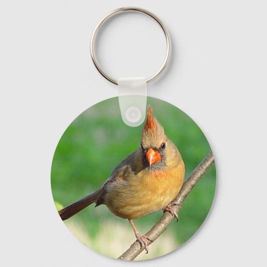 Vrouw Kardinale Sleutelhanger (Voorkant)