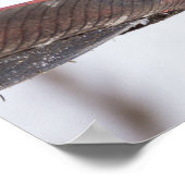 Vrouw kardinale tijd poster (Hoek)