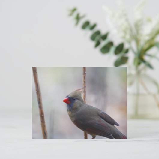 Vrouw kardinale vogel briefkaart (Staand voorkant)