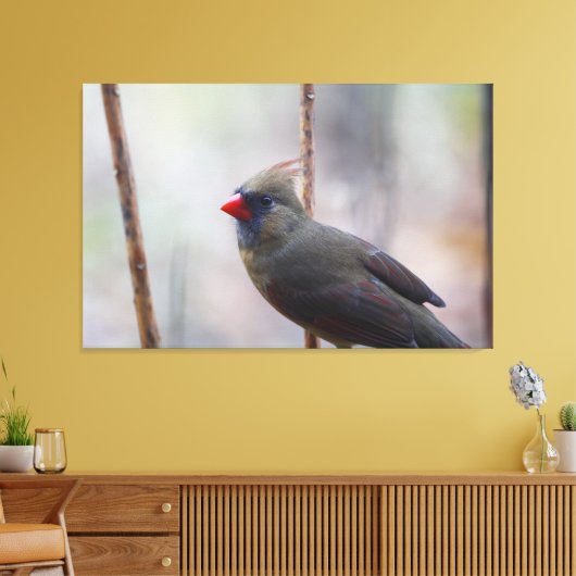 Vrouw kardinale vogel canvas afdruk (Insitu (Woonkamer))