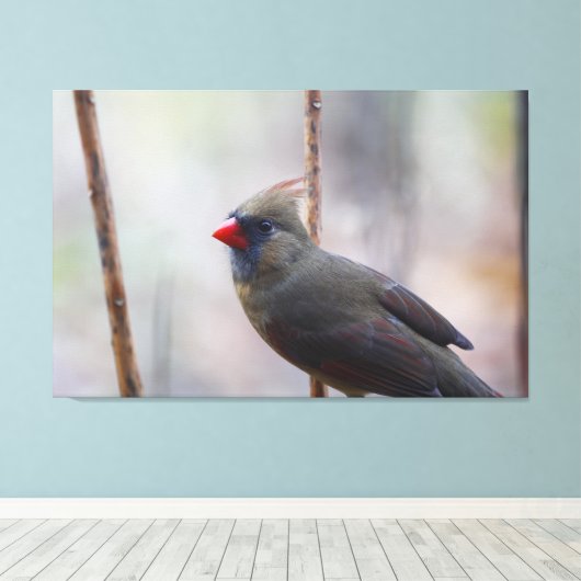 Vrouw kardinale vogel canvas afdruk (Insitu (Houten vloer))