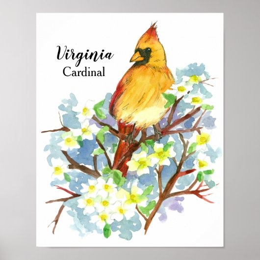 Vrouw kardinale Waterverf van de staat Virginia Poster (Voorkant)