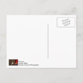 Vrouw keelvogel briefkaart (Achterkant)