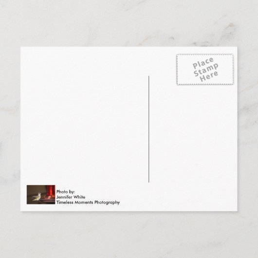 Vrouw keelvogel briefkaart (Achterkant)