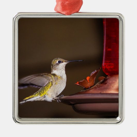 Vrouw keelvogel metalen ornament (Voorkant)