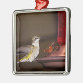 Vrouw keelvogel metalen ornament (Links)