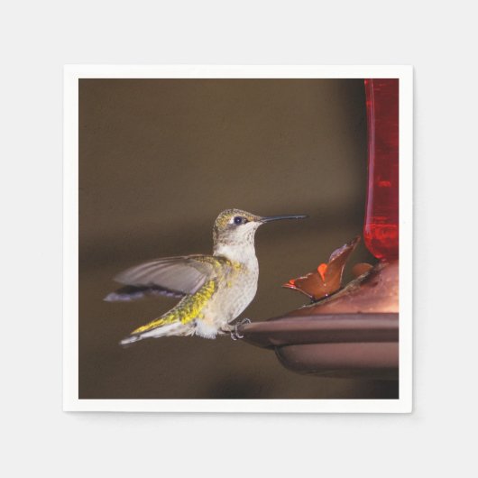 Vrouw keelvogel servet (Voorkant)